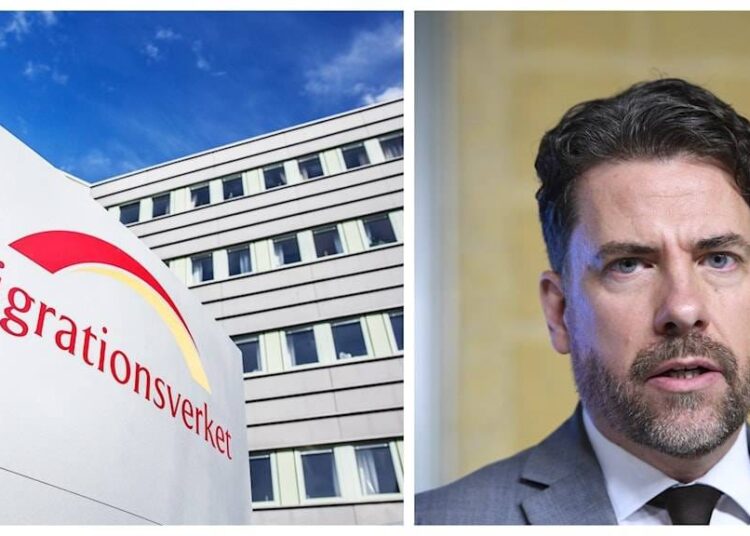 Ribbenviks lagförslag syftar till att blidka den turkiska regimen